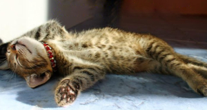 Я опоздала в никуда