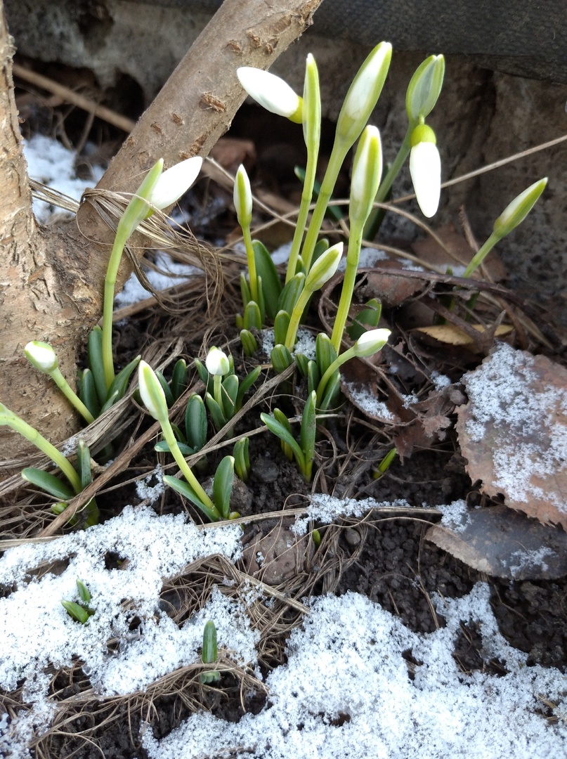 Вот стою и смотрю