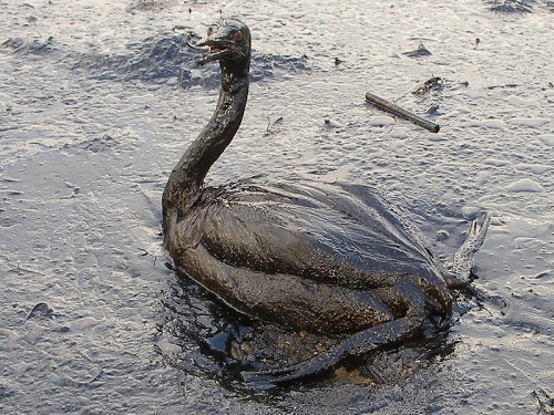 Не верю я в случайность