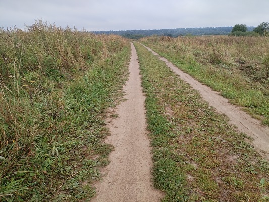 2025г. Вас оказалось не так трудно