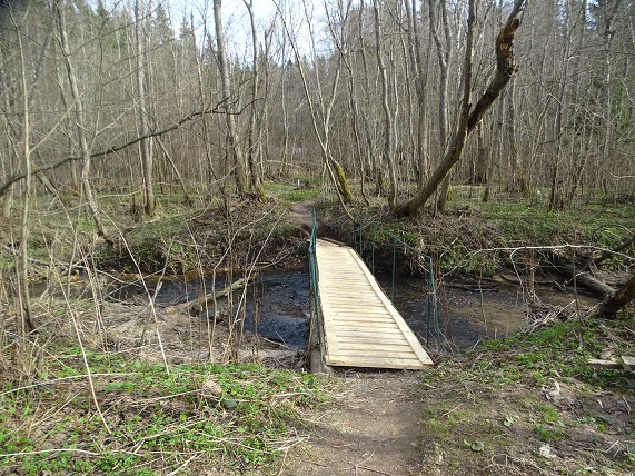 2025г. Пускай, пускай с моих сомнений. 1227