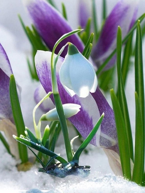 5 февраля. Мысли и чувства в слух...