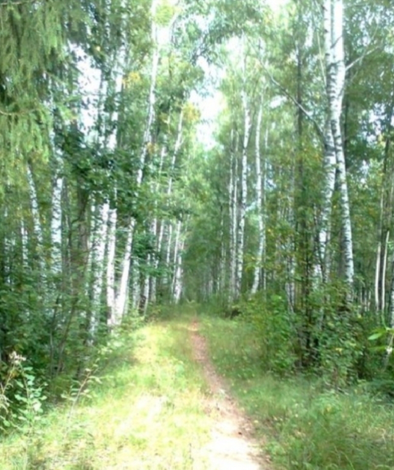 Однажды я сбегу, уйдя с маршрута