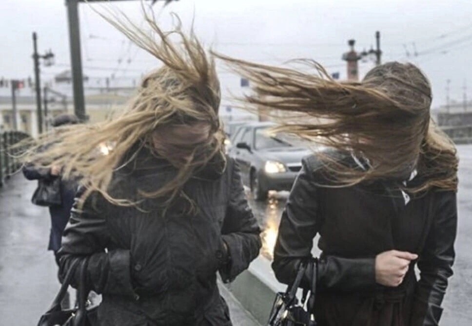 Ветер - бродяга