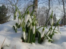 Рождение весны