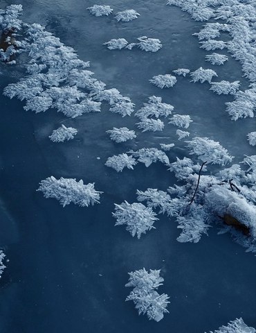 Пазлы