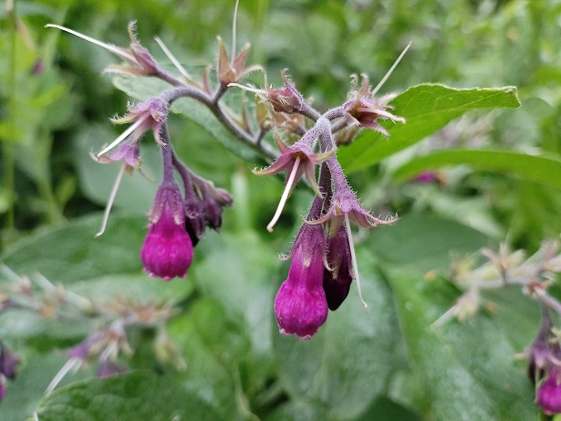 2025г. Как было глупо... красотой. 1228