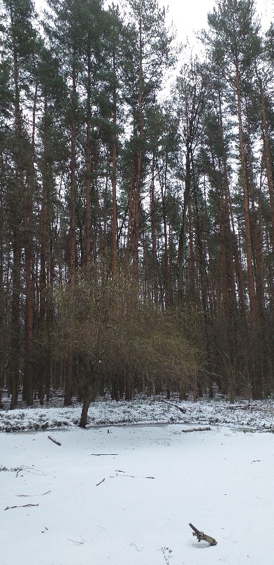 Не пугают