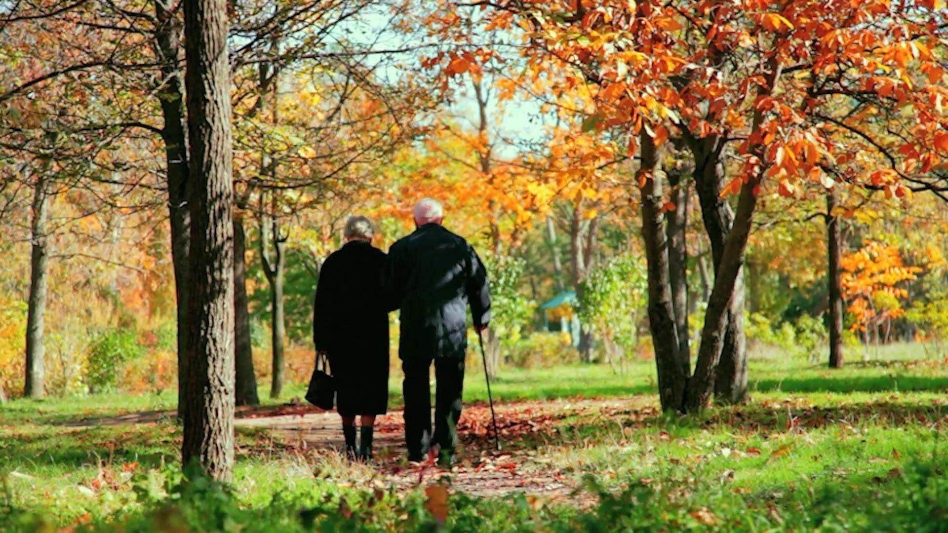 А просто так, от нехер де