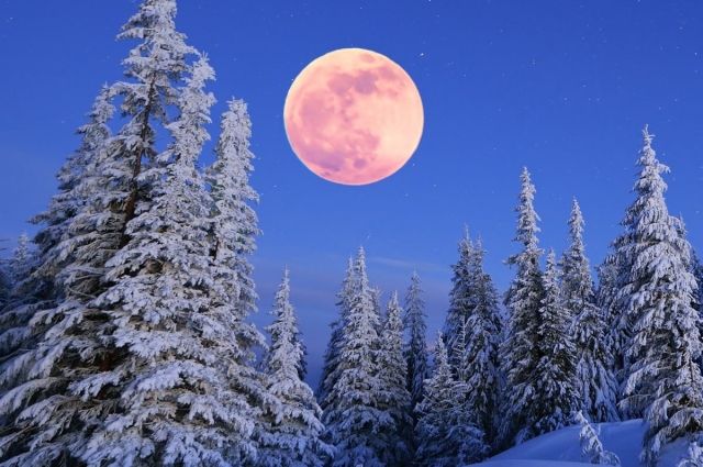 Полнолуние во Льве