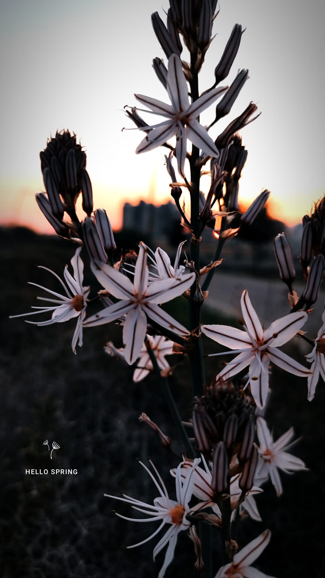 Давай, поговорим...