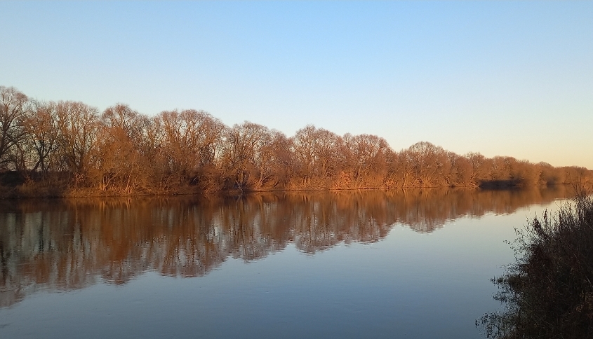 Словно голубь