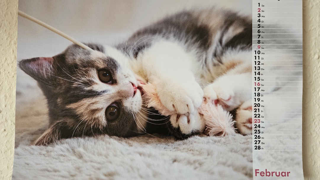 фев Айстая тошечта- ваЕнтинта