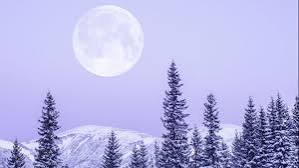 Лунный свет