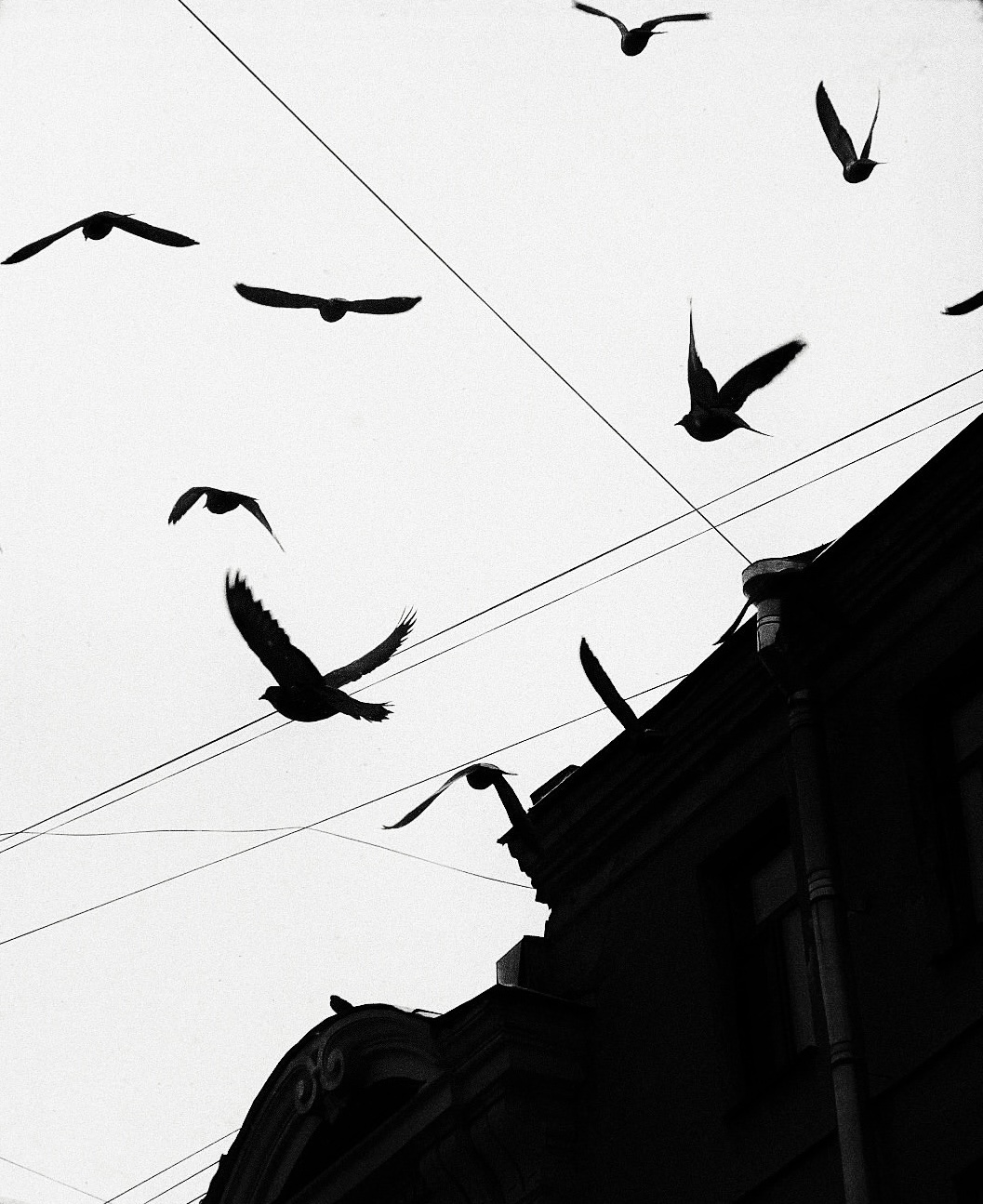 за окном наступил февраль