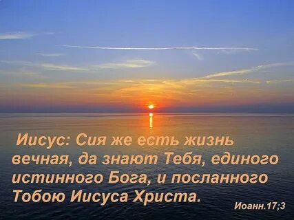 О жизни и смерти на Под прицелом Сергея Луковников