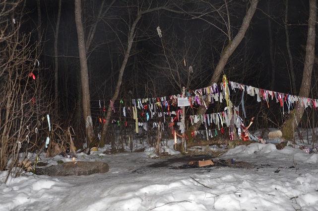 2025г. Ночь, Шутов камень, Шутов лес. 1229