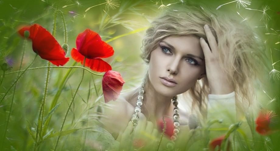 Робкая душа