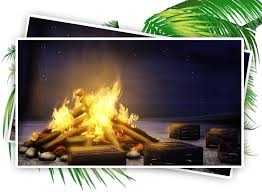 У гаснущего костра