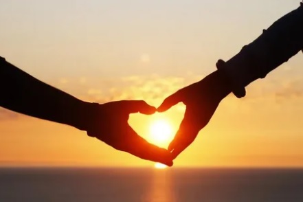 Сердце на двоих