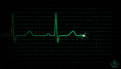 Всем существом боль сердца ощущаю