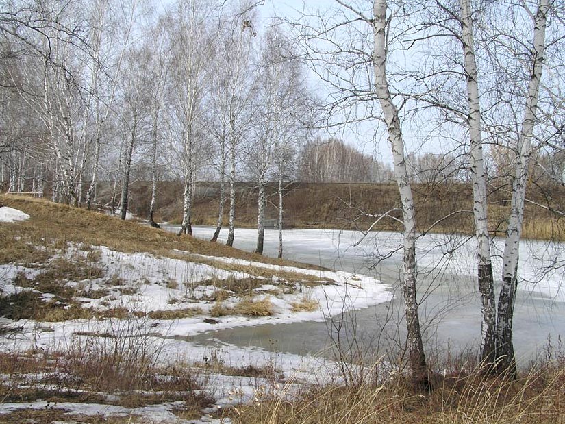 Март пришёл и взялся за работу...