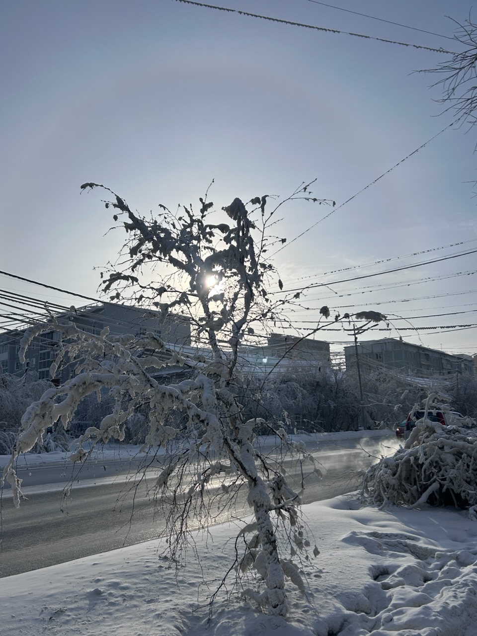 Всем доставь, Весна