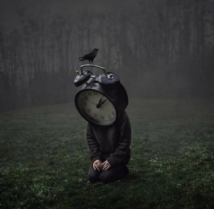 Стихотворение по картинке