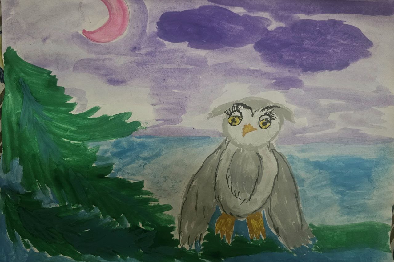 Сова в январе 407