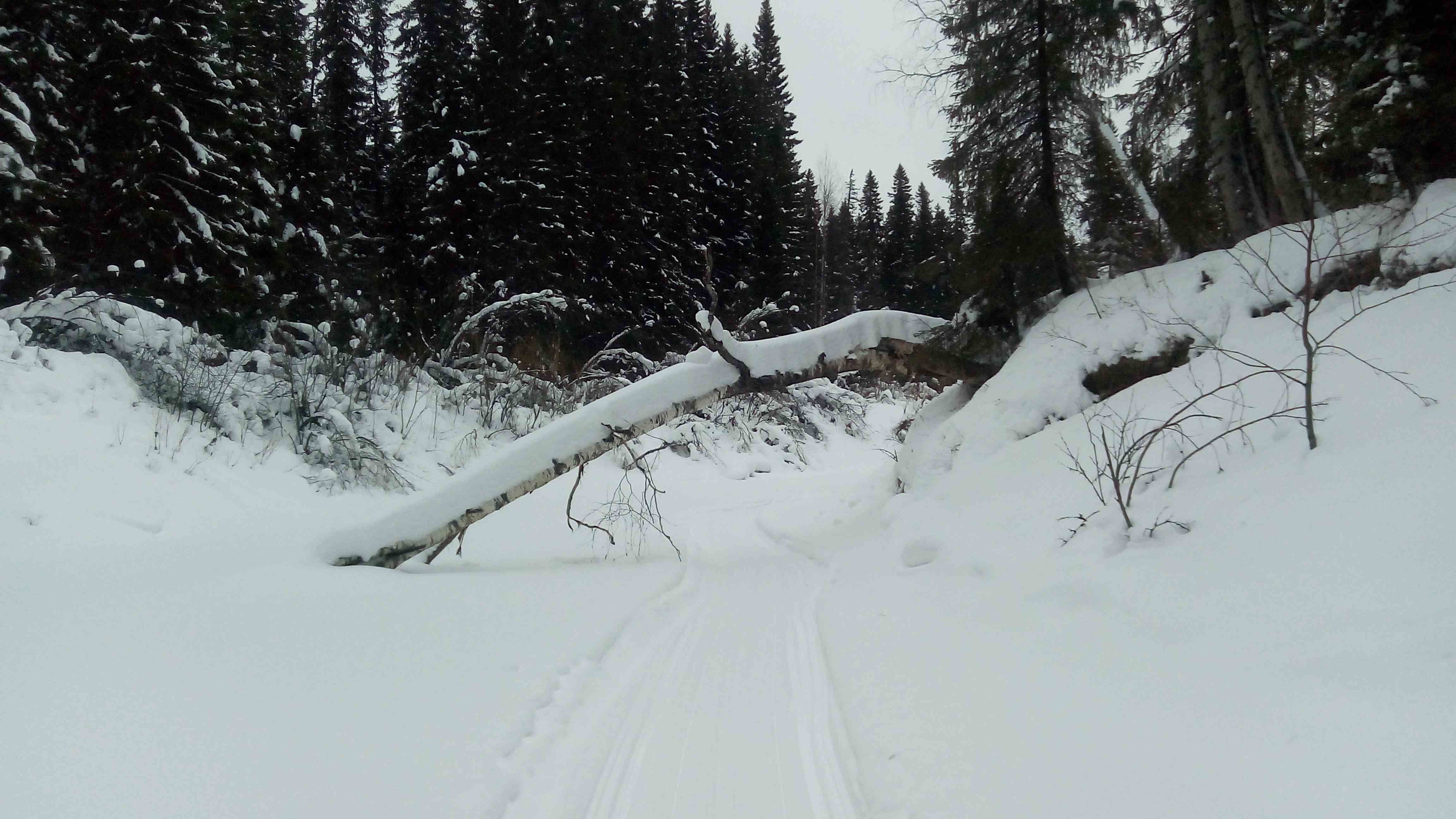 На дальней речке