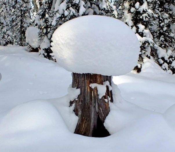 Последние дни февраля