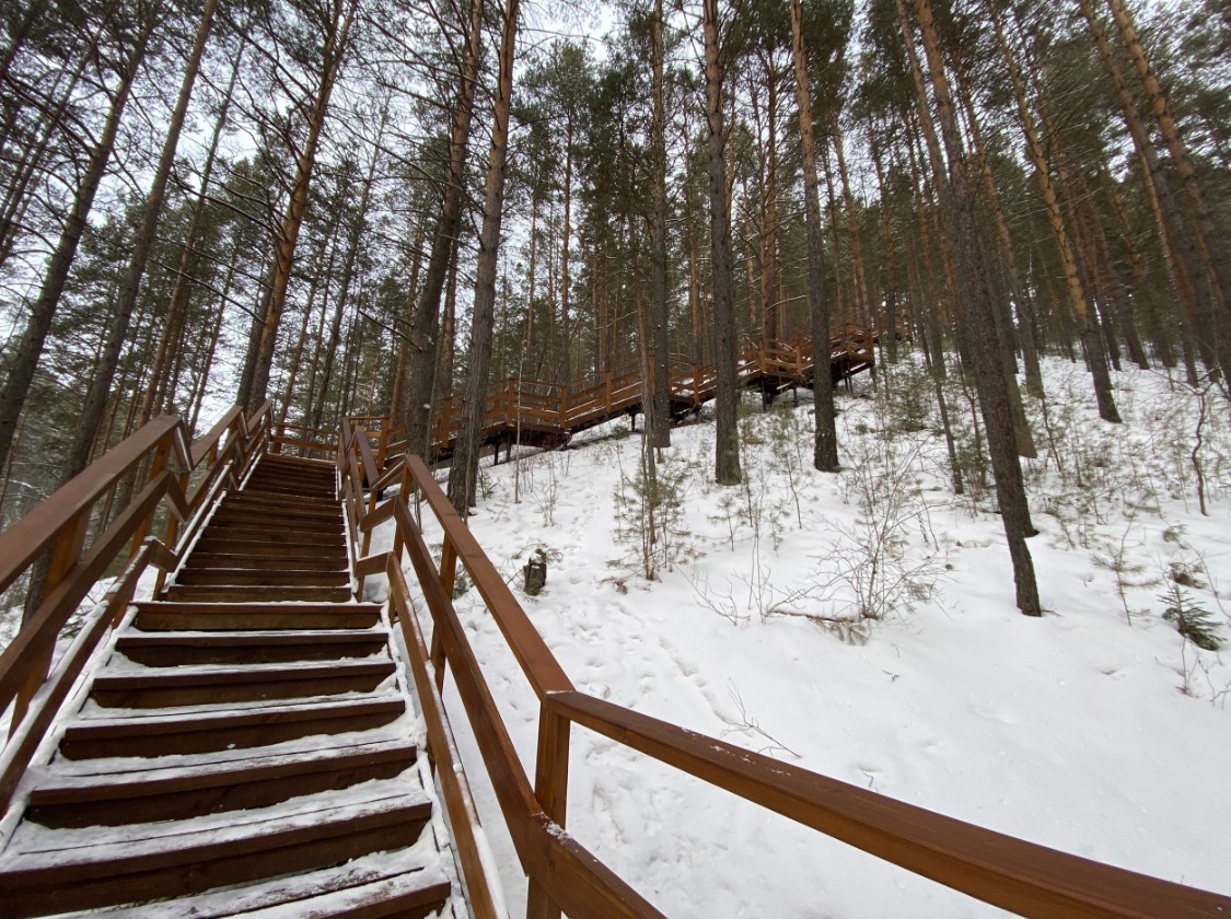ЛЕСная прогулка. Красноярск. Гремячая грива