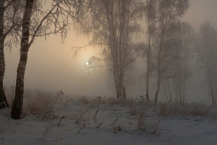 Тёмный день