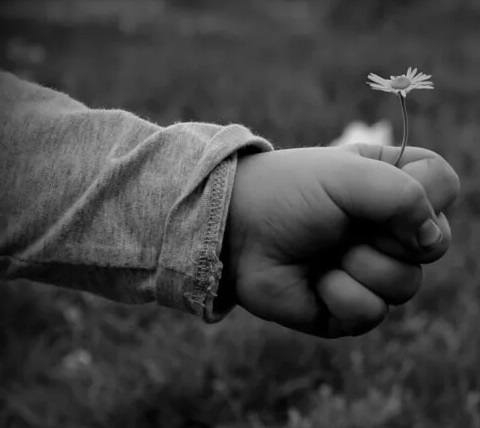 Вот так рождается Весна