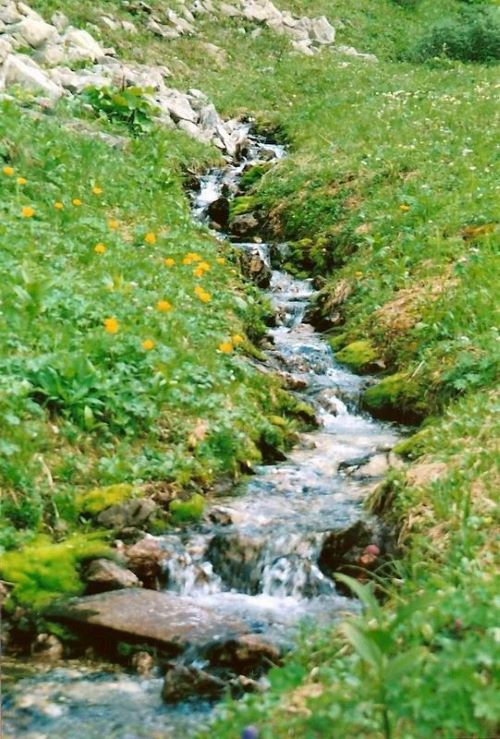 Весёлый ручеёк