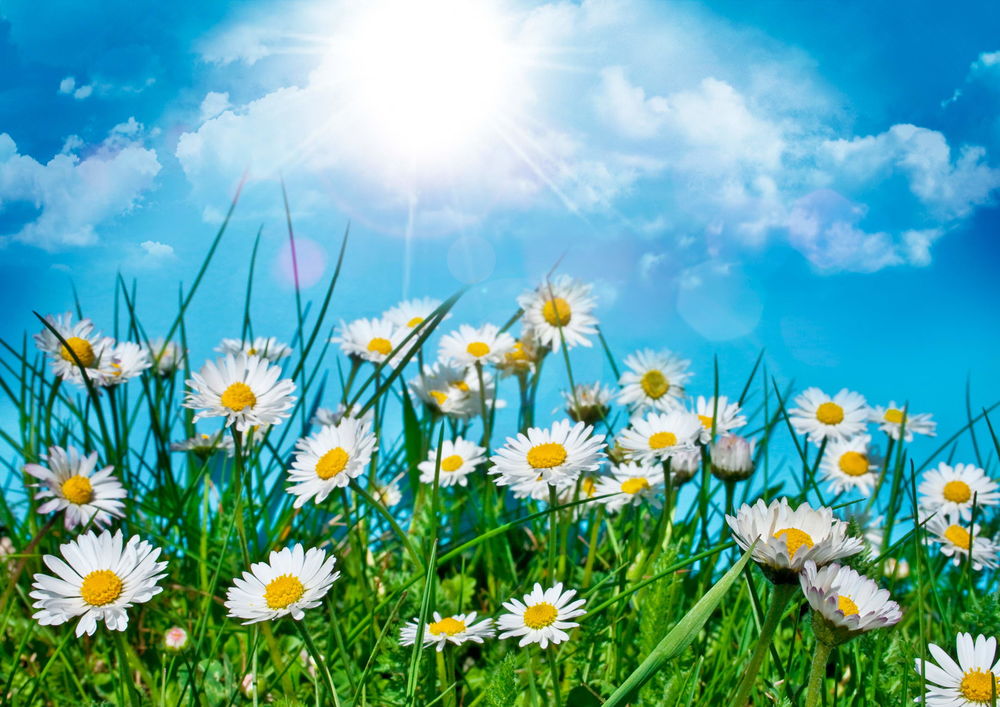 В лоб Одиночеству