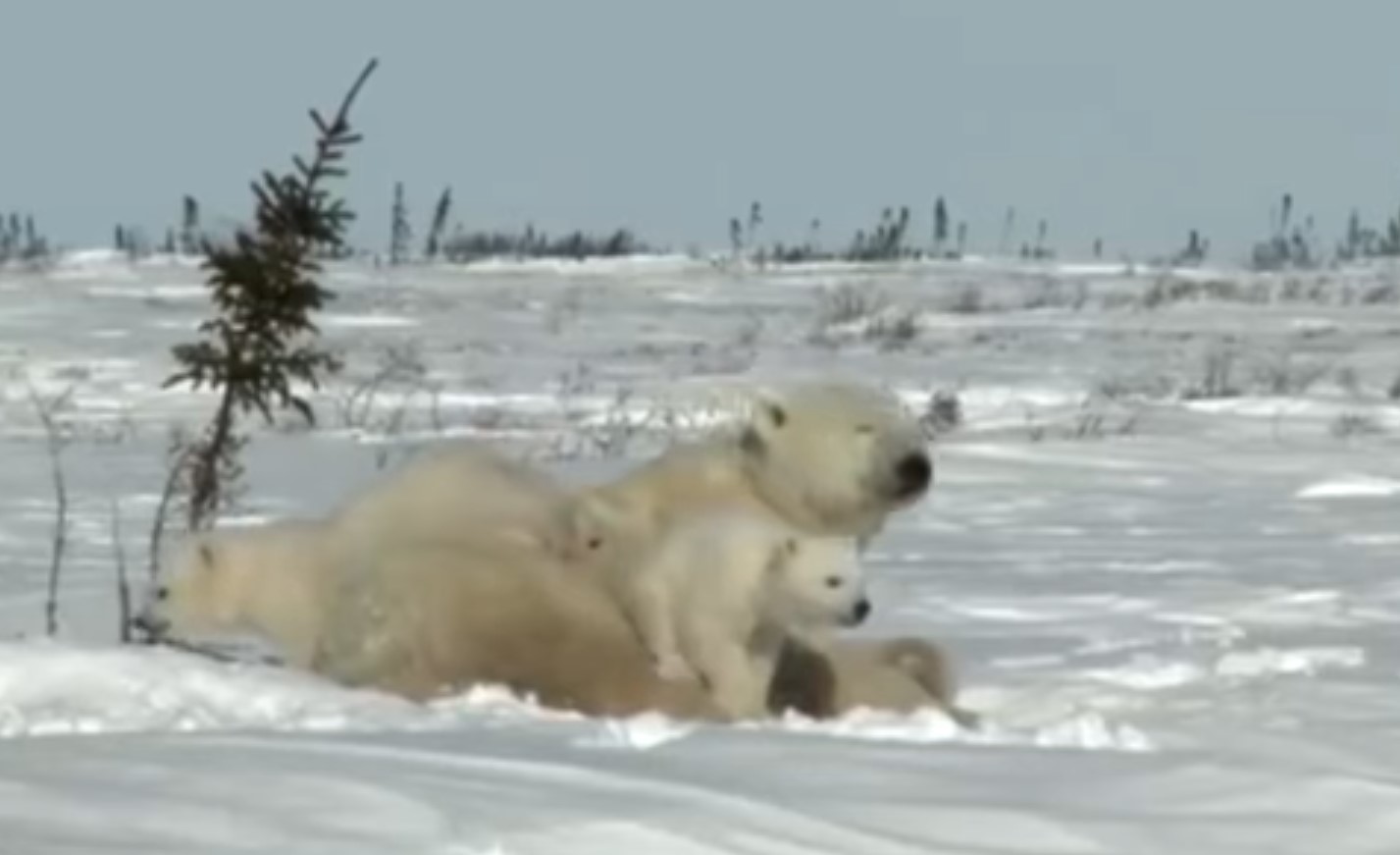 Нам не нада что-та и менять ш