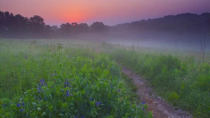 Полевые дороги