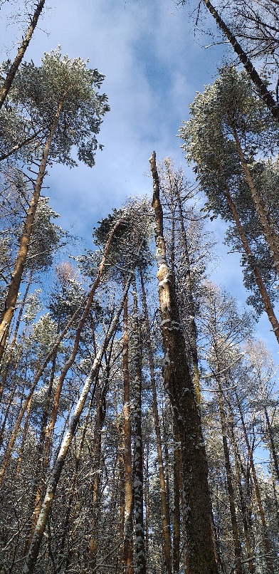 Смотрю