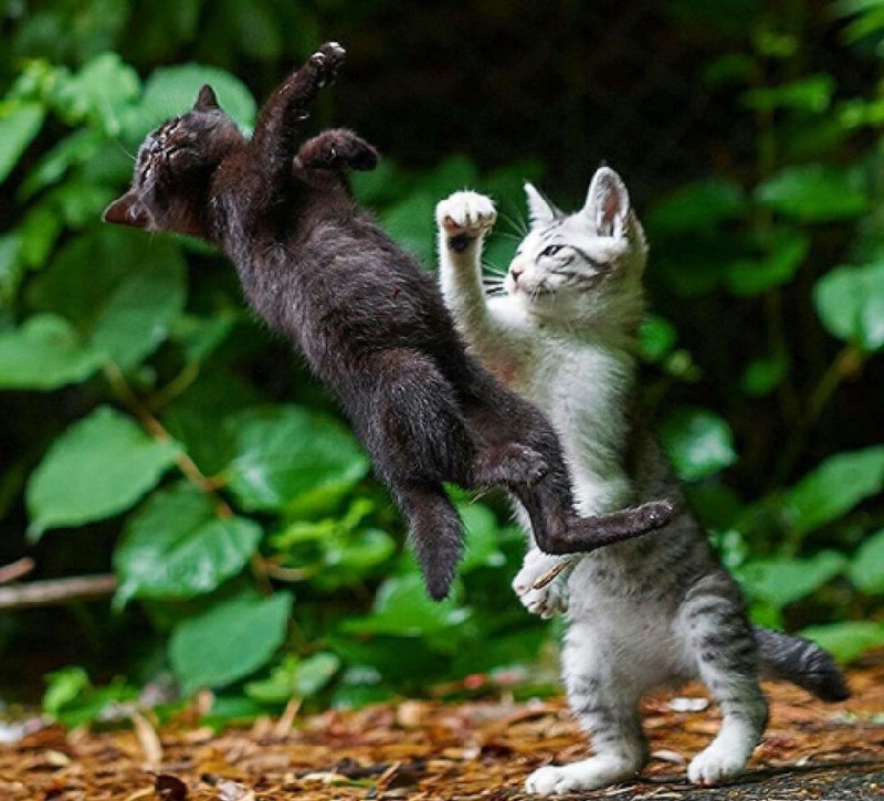 Три ответа - три привета 87