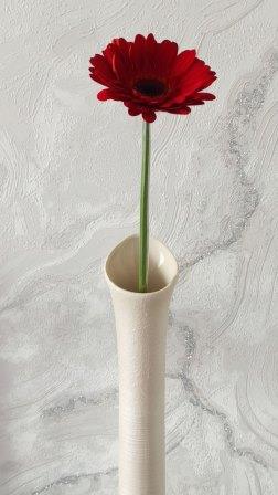 Гербера цветок счастья и успеха