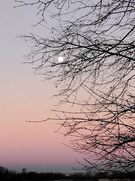 плен колючек