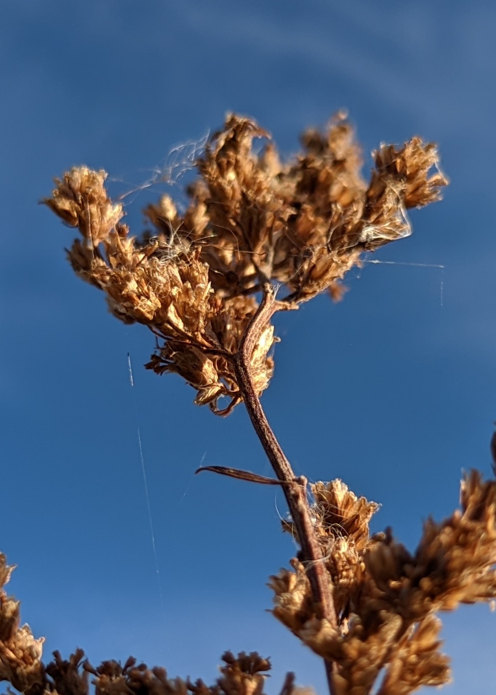 Воспитание зоркости