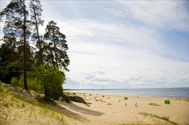 Сливки с шоколадом