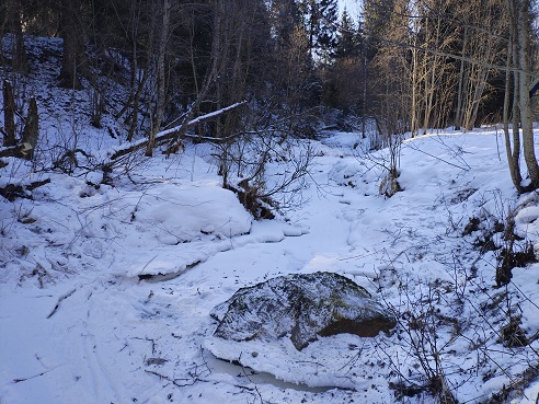 2025г. Пешком к Степановскому камню. 1233