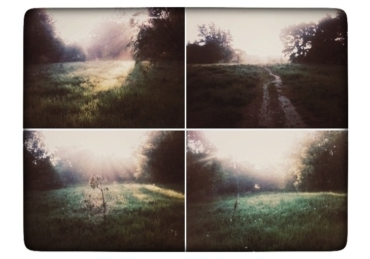 Прозрачен воздух, вьется хмель...