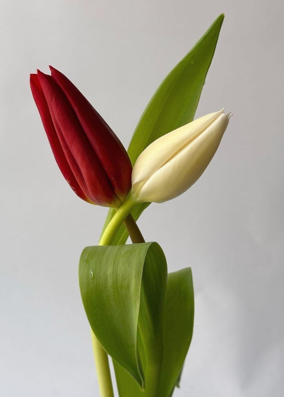 Молитва памяти!!!