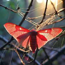 Борьба за жизнь