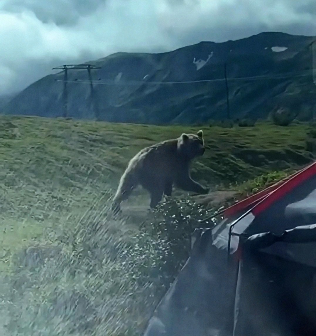 Уехать бы на краешек земли...