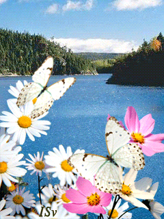 Весна нам снова дарит чудеса